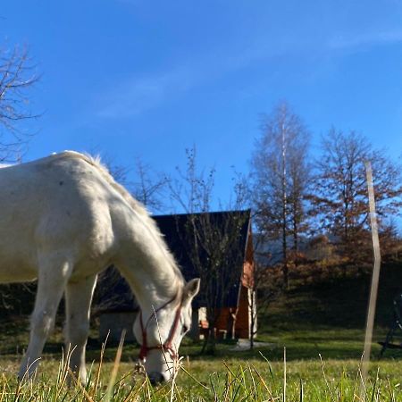 Eco Kutak Villa Mojkovac Eksteriør billede