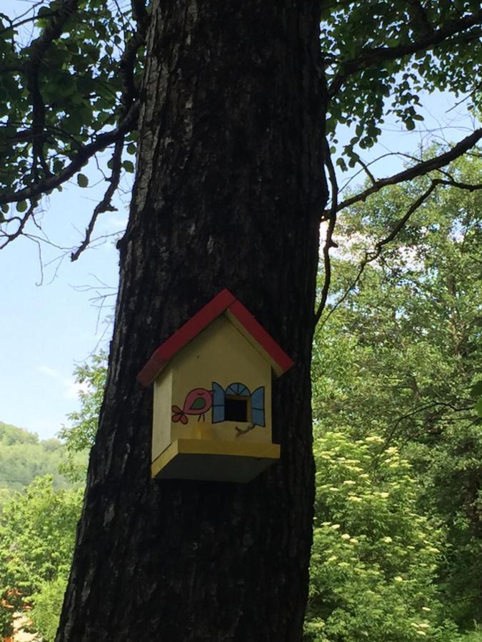 Eco Kutak Villa Mojkovac Eksteriør billede