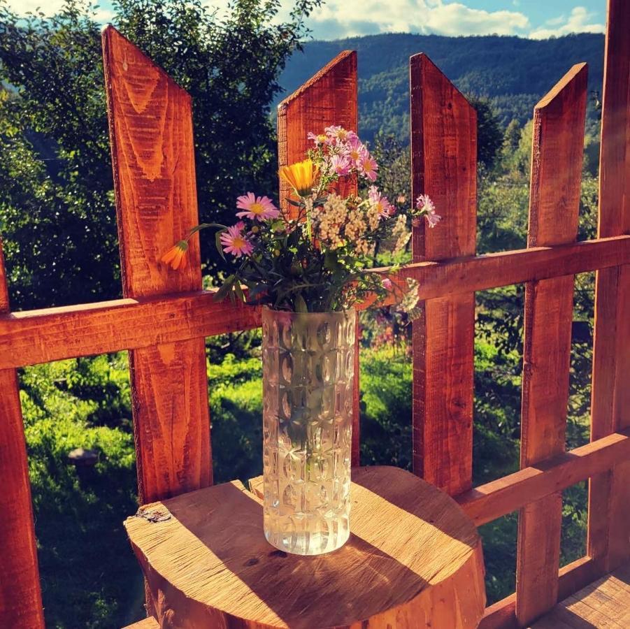 Eco Kutak Villa Mojkovac Eksteriør billede